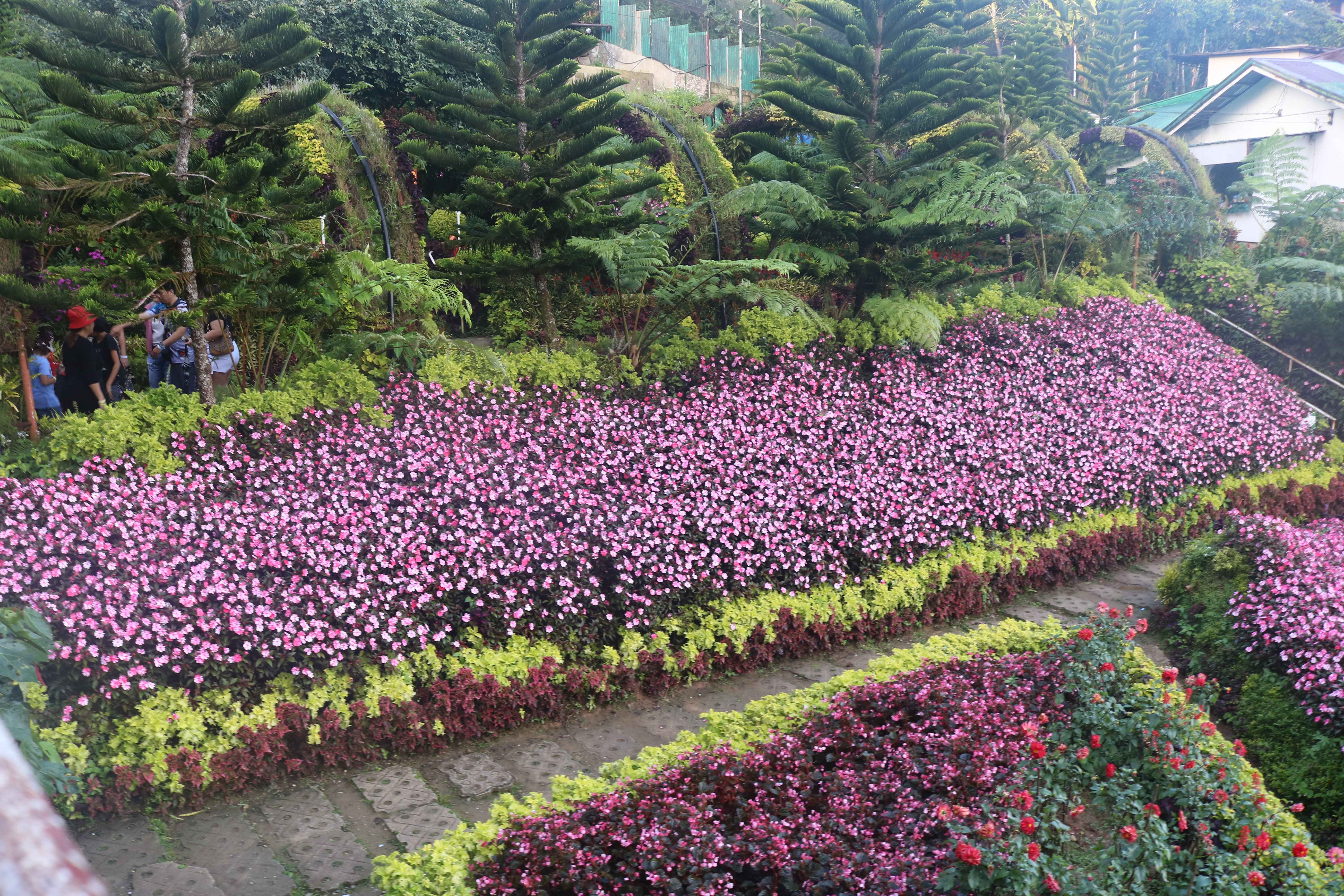 Sirao Garden